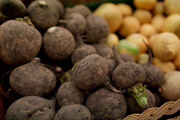 Pourquoi faut-il manger bio ?