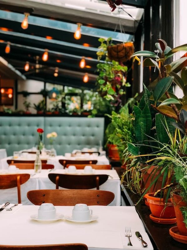 Quelles méthodes utiliser pour réduire l'empreinte carbone de votre restaurant ?