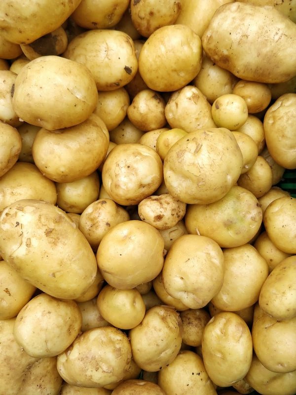 Quand laver les pommes de terre ?