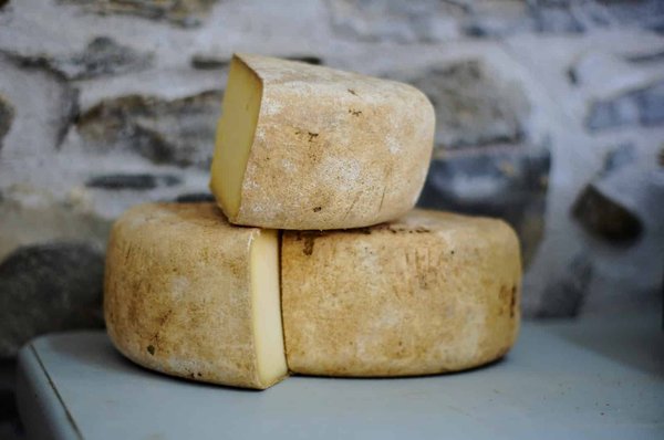 Est-ce que l'on peut congeler du fromage ?